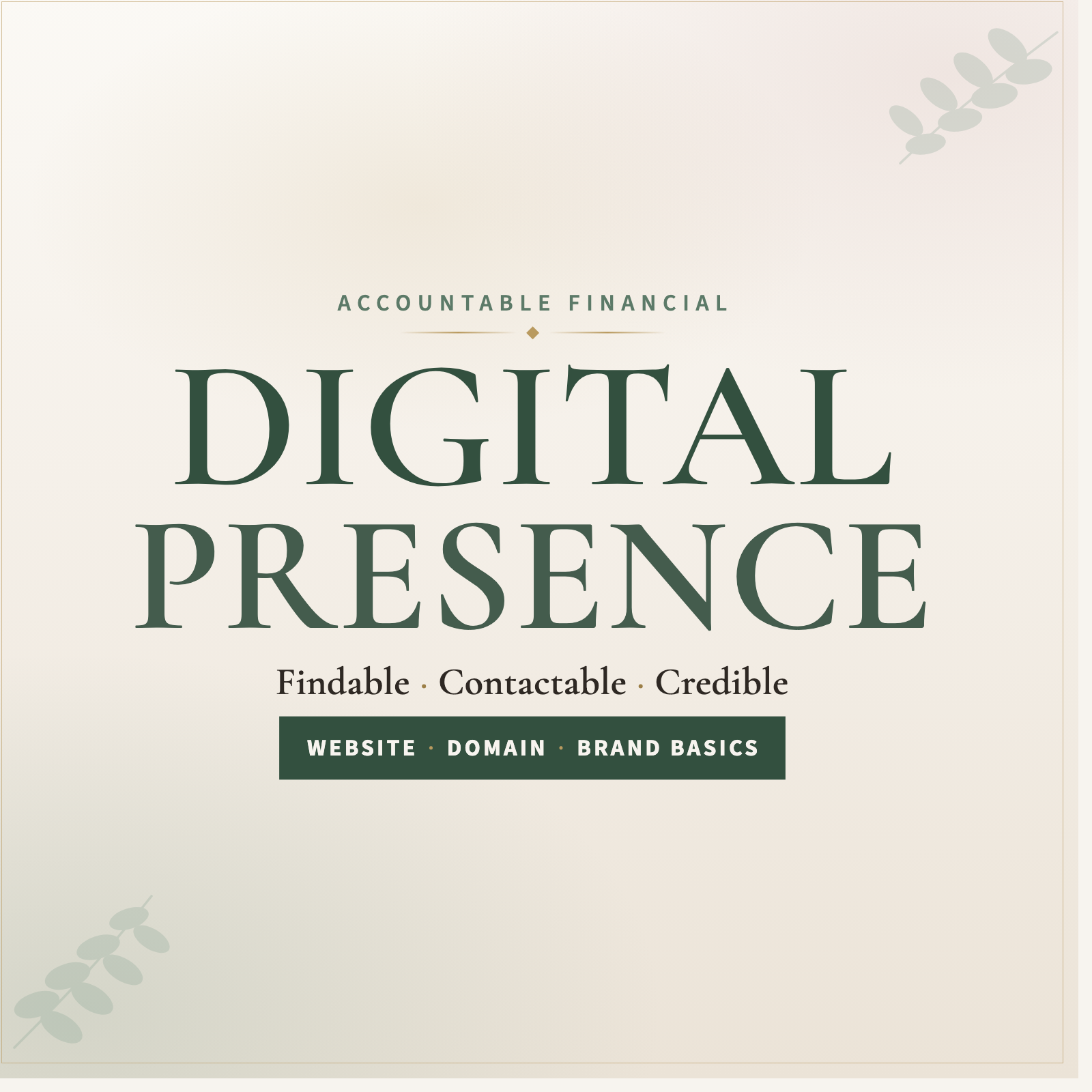 Business Setup Digital Presence